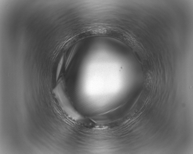 X0000053120600200508081254