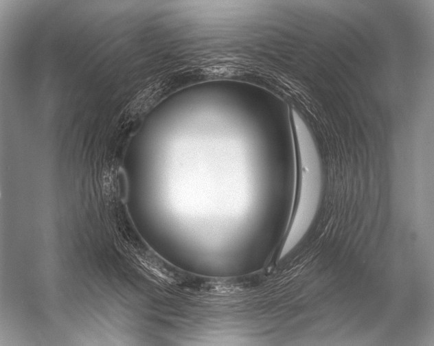 X0000053120601200508081253