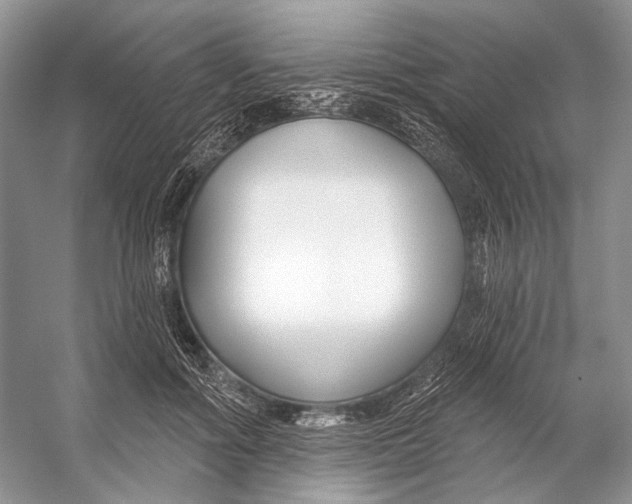 X0000053120602200508081253