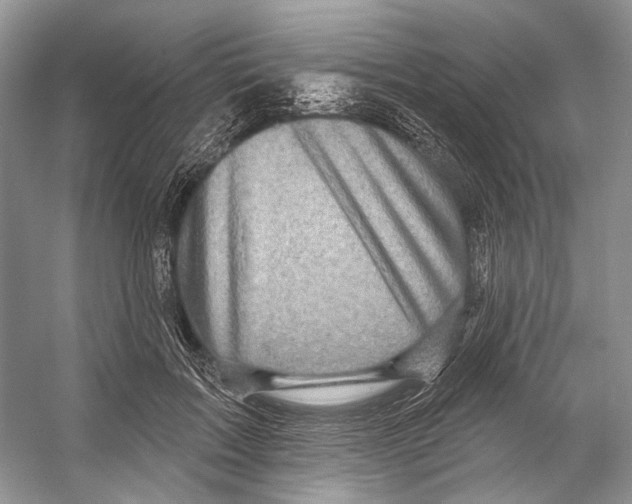 X0000053120603200508081253