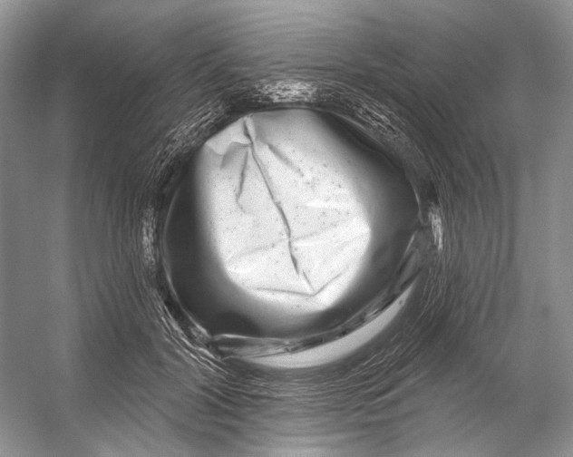 X0000053120604200508081253