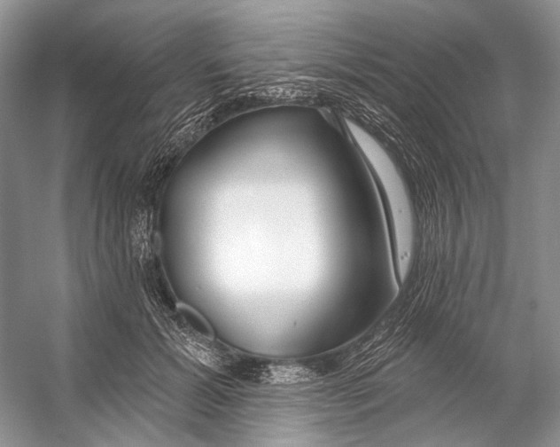 X0000053120605200508081253