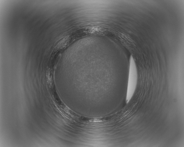 X0000053120607200508081253