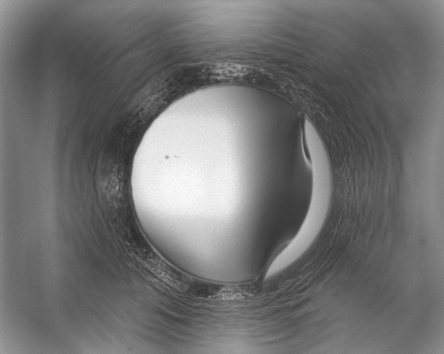 X0000053120608200508081253