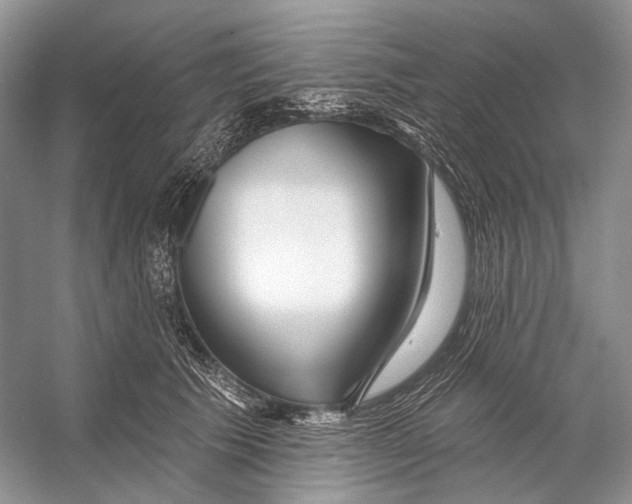 X0000053120609200508081253