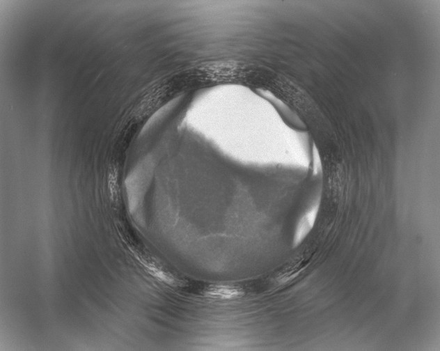 X0000053120610200508081253