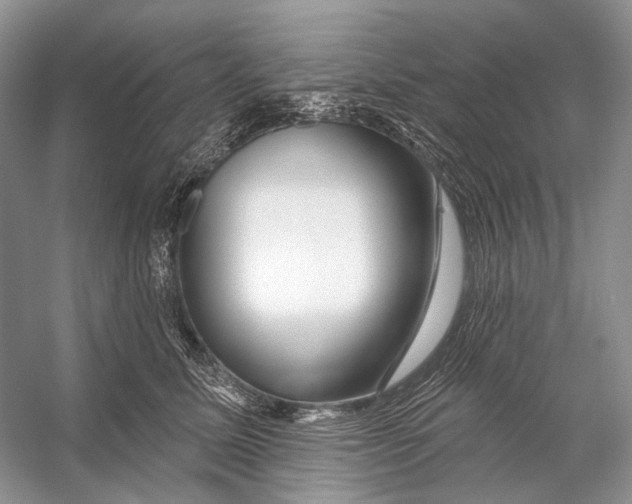 X0000053120611200508081253