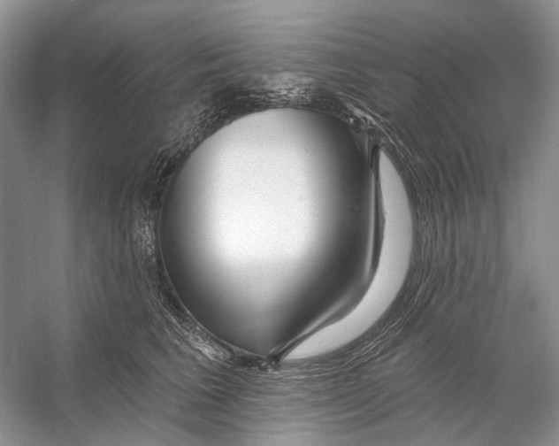 X0000053120613200508081253