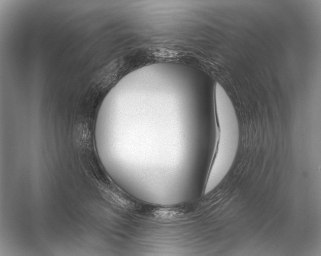 X0000053120614200508081253