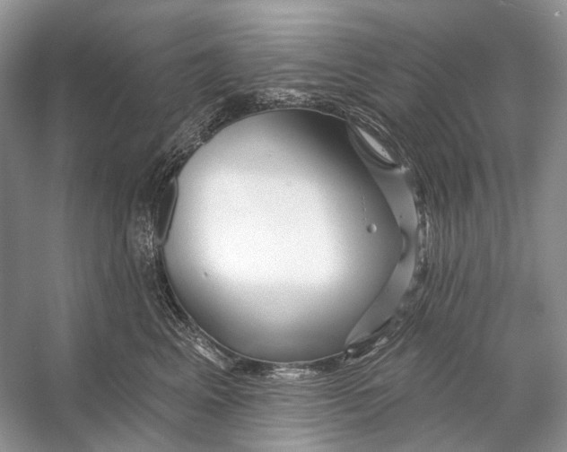 X0000053120617200508081253