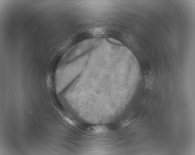 X0000053120618200508081253