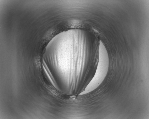 X0000053120620200508081253