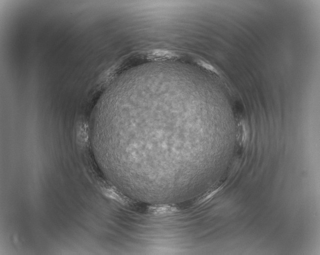 X0000053120621200508081253