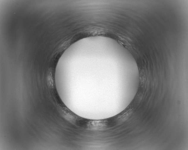 X0000053120622200508081253