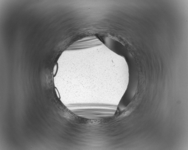 X0000053120624200508081253