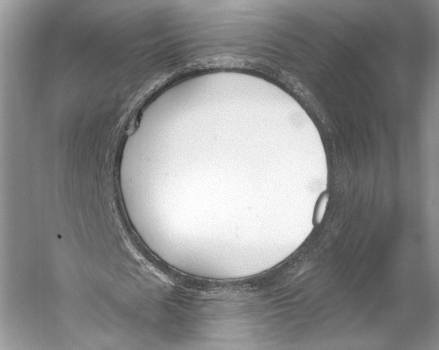 X0000053120625200508081252