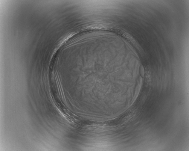 X0000053120626200508081252