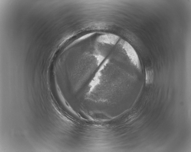 X0000053120627200508081252