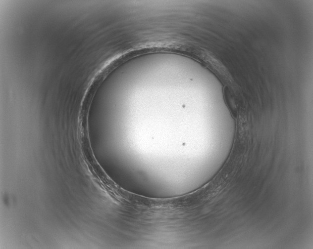 X0000053120628200508081252