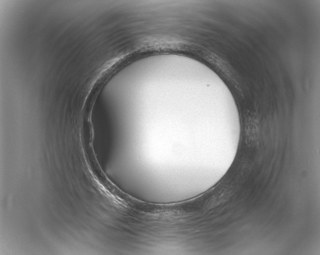 X0000053120629200508081252