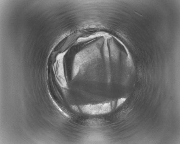 X0000053120630200508081252