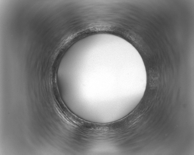 X0000053120631200508081252