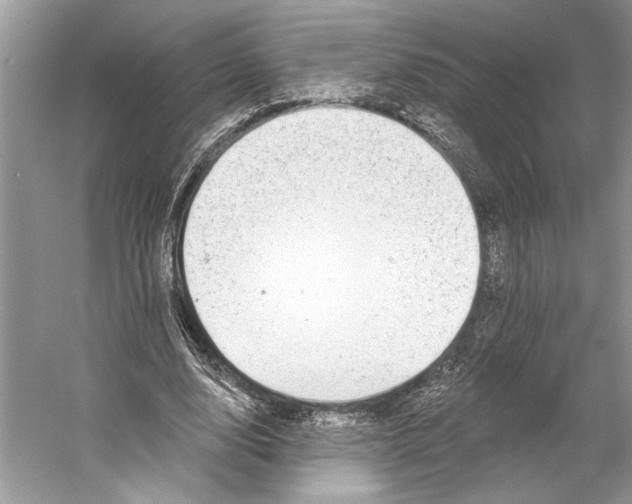 X0000053120632200508081252