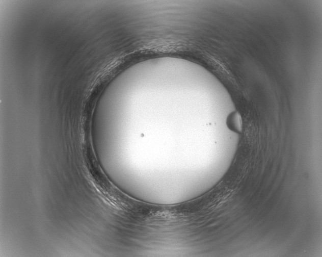 X0000053120635200508081252