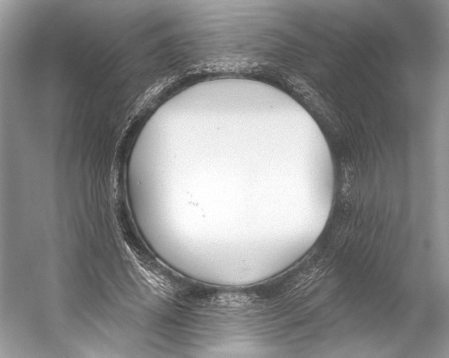 X0000053120636200508081252