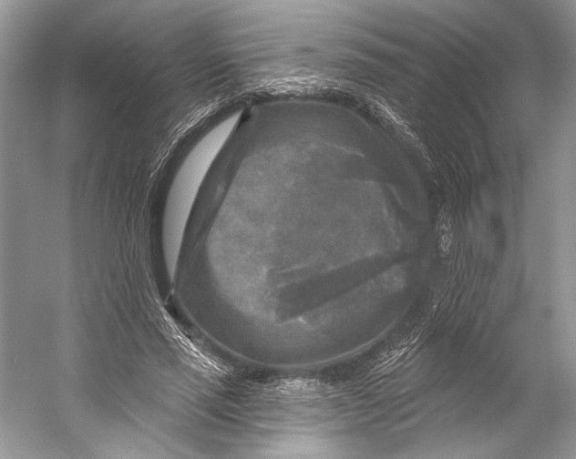 X0000053120637200508081252