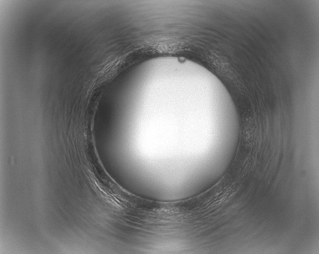 X0000053120639200508081253