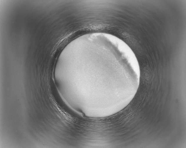 X0000053120640200508081253