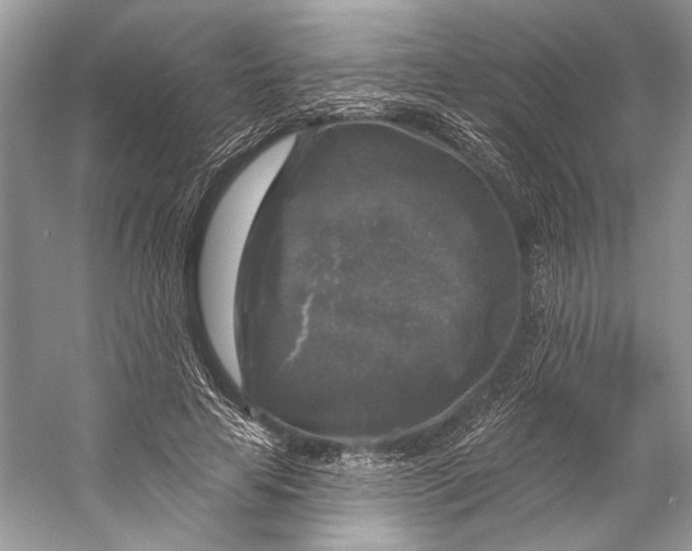 X0000053120641200508081253