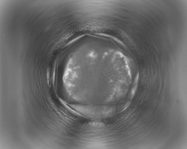 X0000053120644200508081253