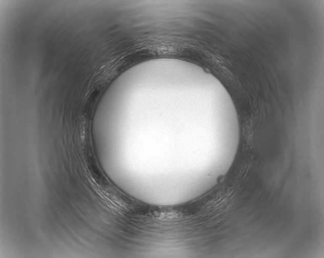 X0000053120645200508081253