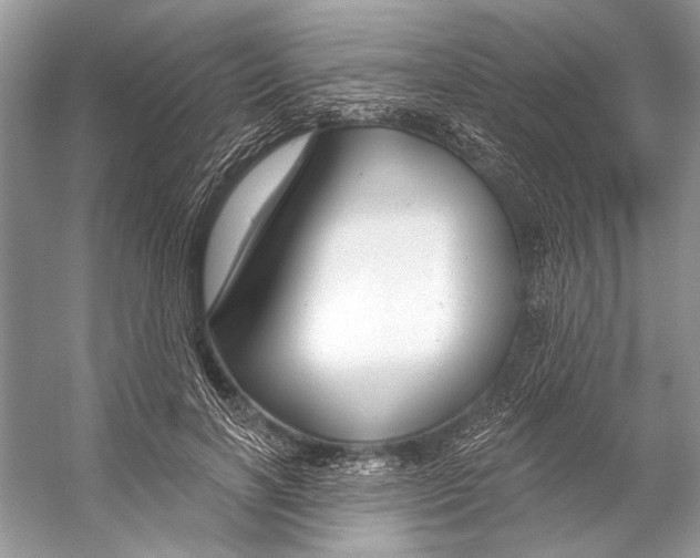 X0000053120646200508081253