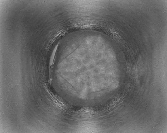 X0000053120648200508081253