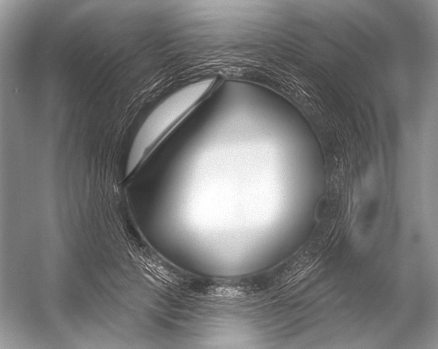 X0000053120649200508081253