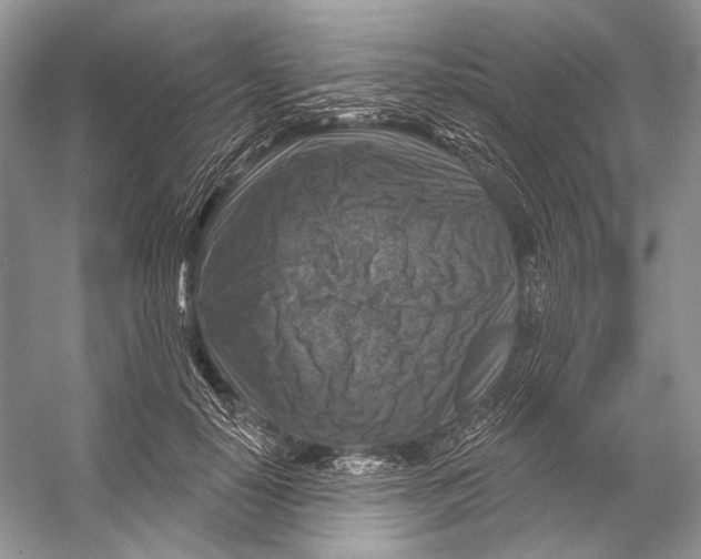 X0000053120650200508081253