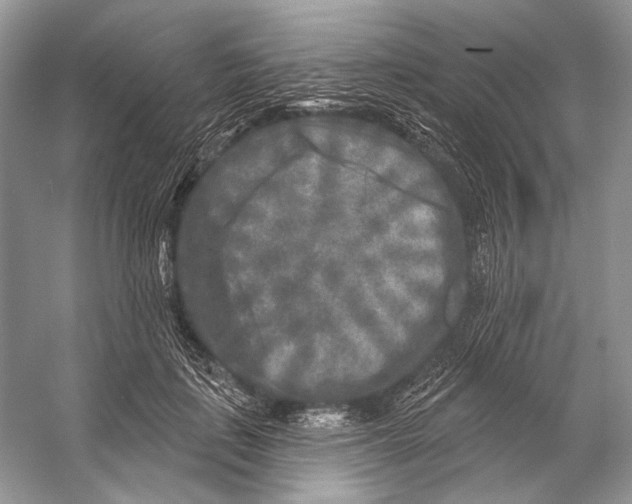 X0000053120651200508081253