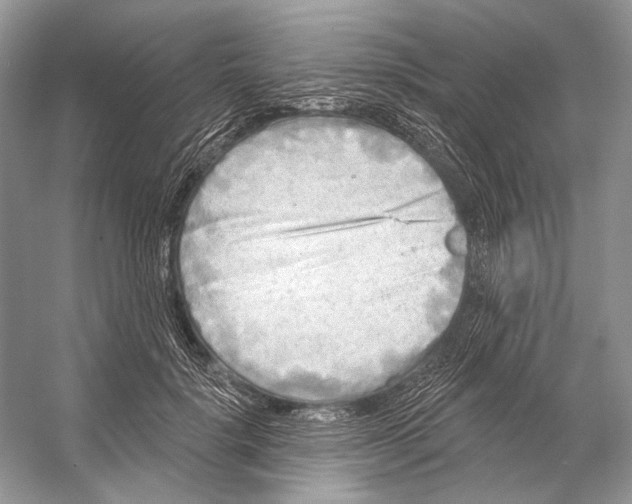 X0000053120652200508081253