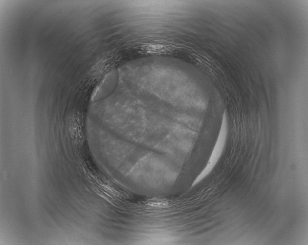 X0000053120653200508081253