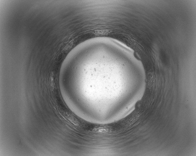 X0000053120655200508081253