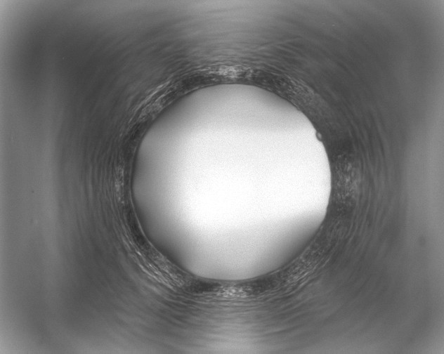 X0000053120656200508081253