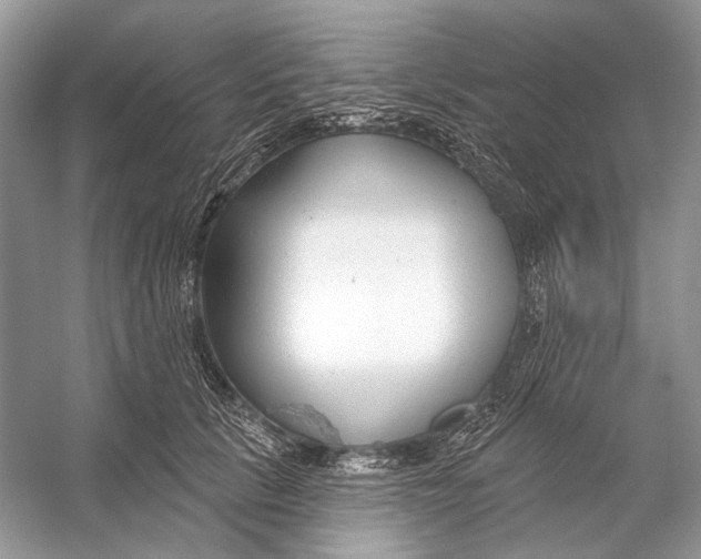 X0000053120657200508081253