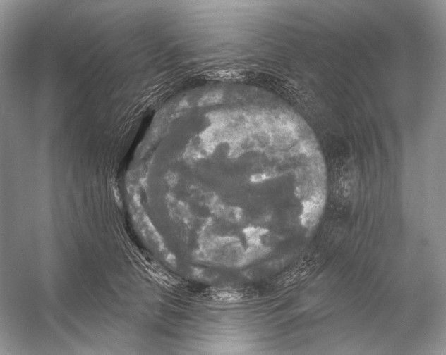 X0000053120658200508081253