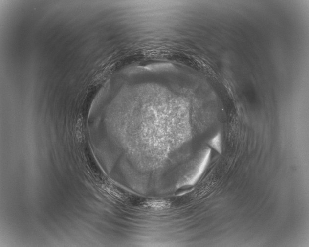 X0000053120659200508081253