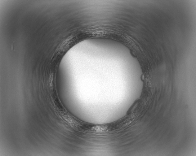 X0000053120660200508081253