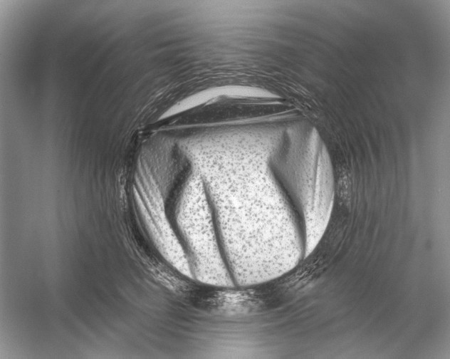 X0000053120662200508081253