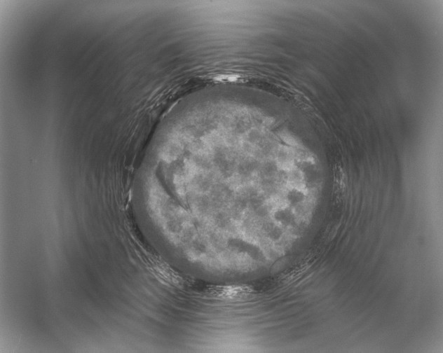 X0000053120663200508081253